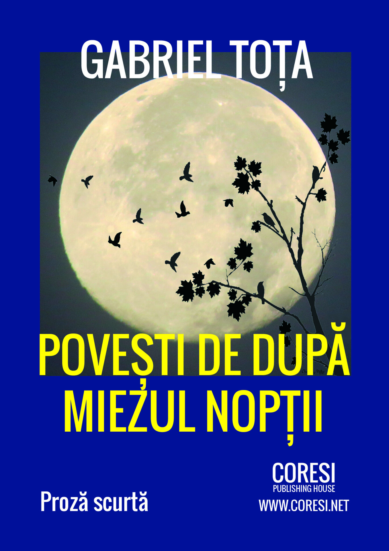 Povești de după miezul nopții