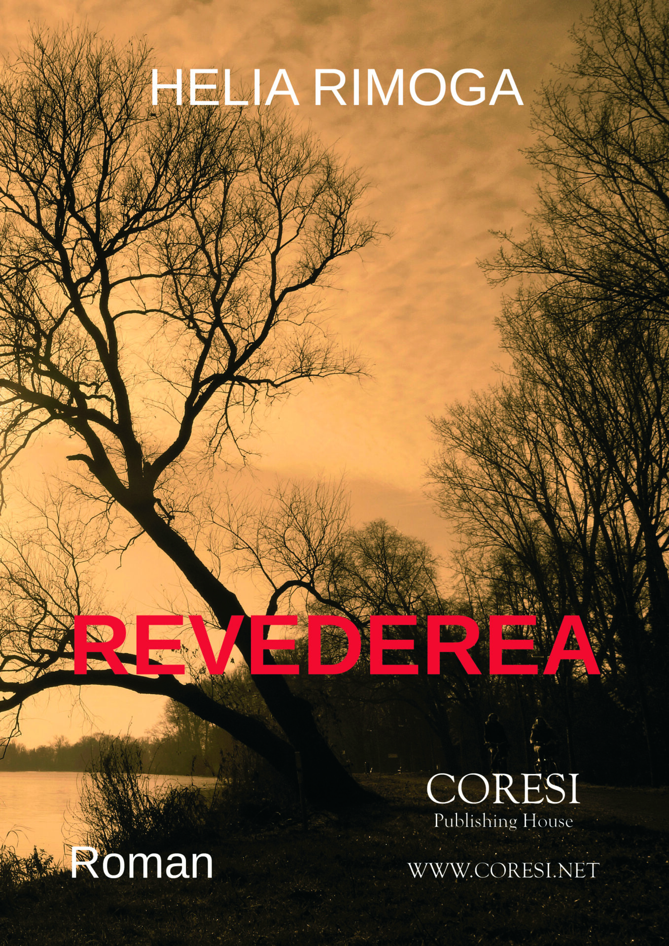Revederea. Roman