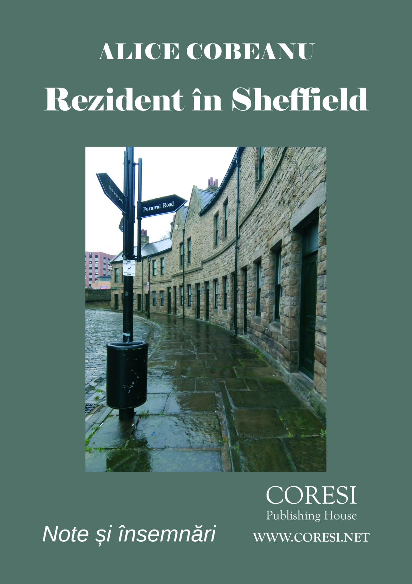 Rezident în Sheffield. Note și însemnări