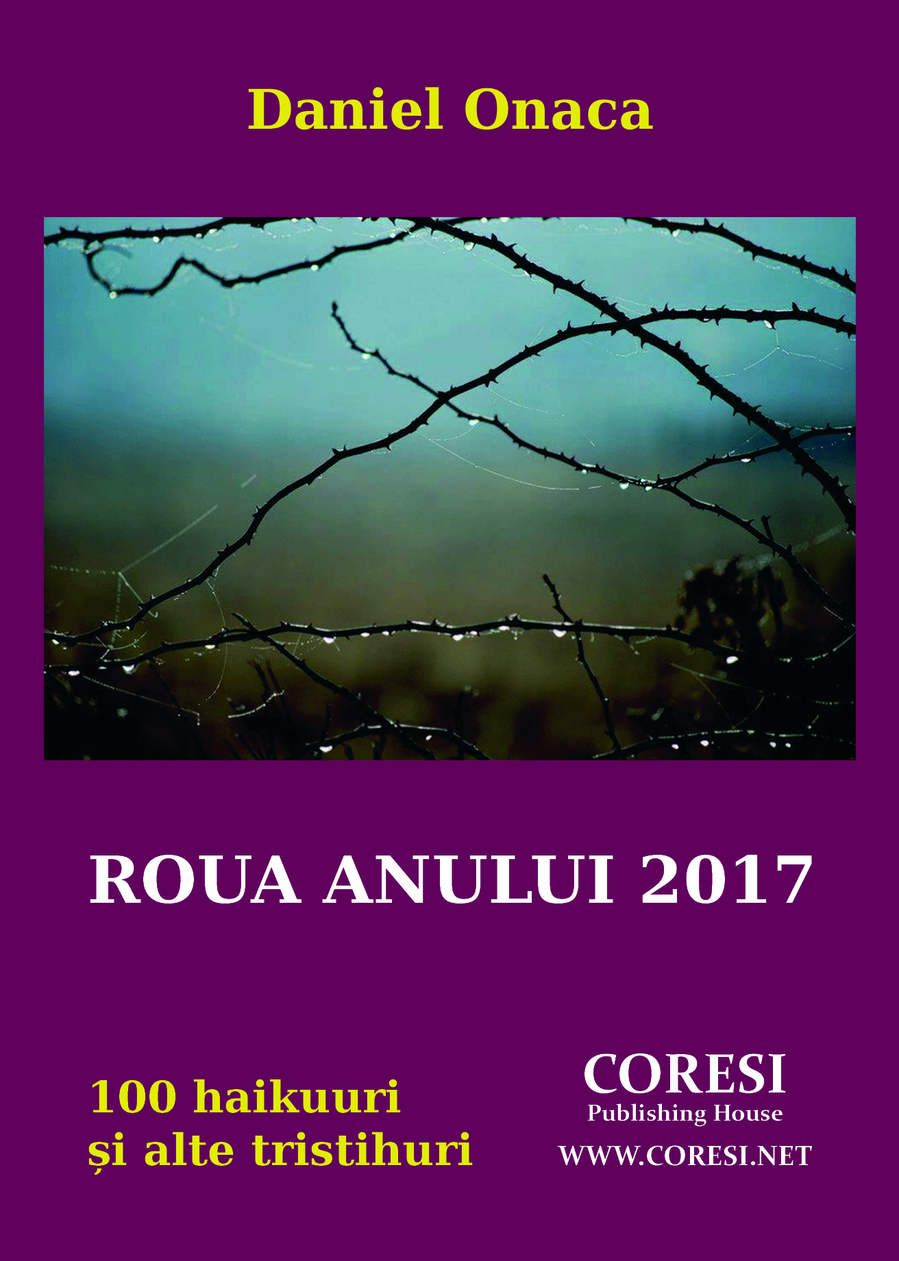 Roua anului 2017