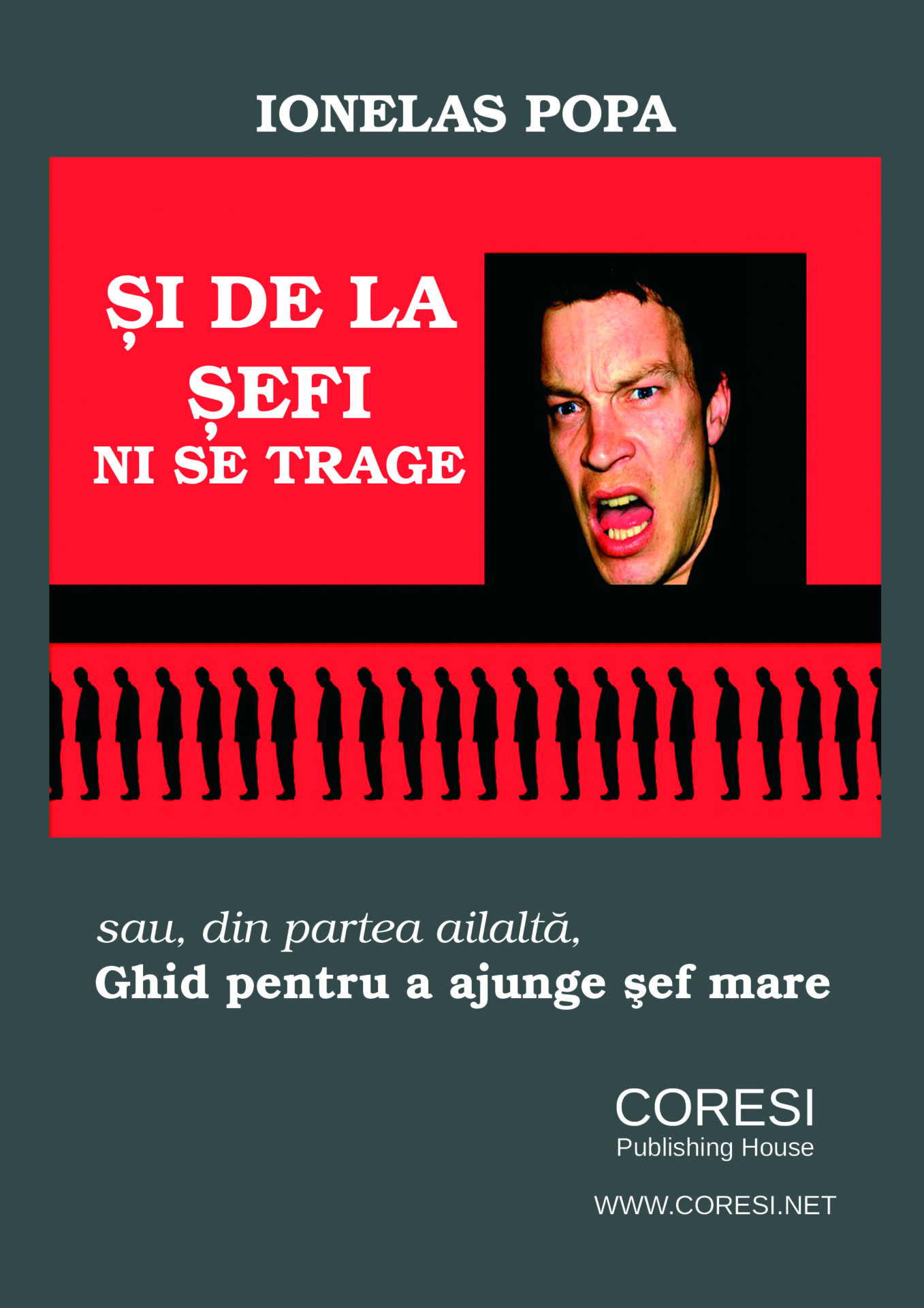 Și de la șefi ni se trage sau, din partea ailaltă, Ghid pentru a ajunge șef mare. Eseuri