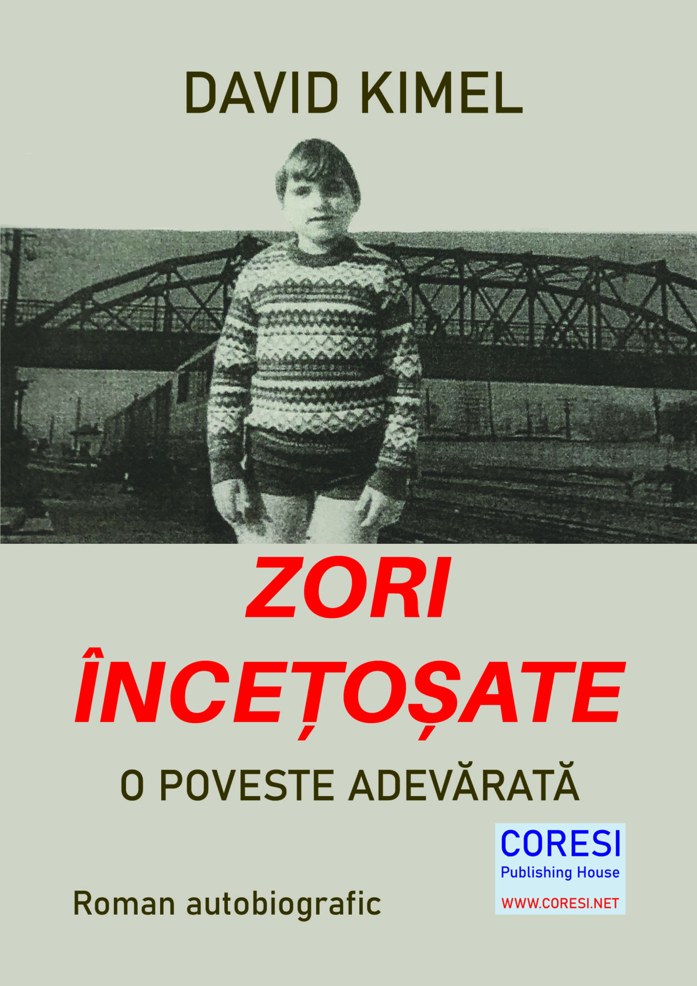 Zori încețoșate. O poveste adevărată. Roman autobiografic